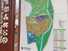 -东郊湿地公园