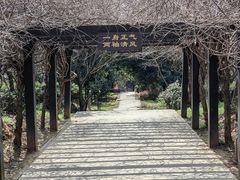 -九龙潭景区
