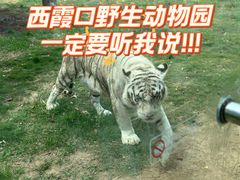 -西霞口神雕山野生动物世界