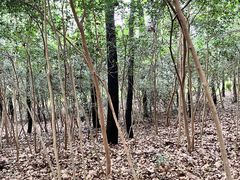 -WeLope紫金山探险公园