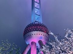 -东方明珠广播电视塔