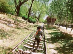 -永定河休闲森林公园