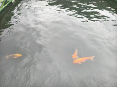 -千岛湖东南湖区