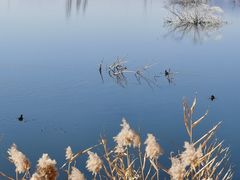 -野鸭湖国家湿地公园