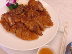 深井烧鹅-九尊食上(生态园林酒店)