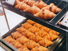 -月枫堂(长春这有山店)