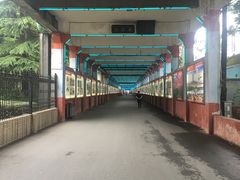 -华西村