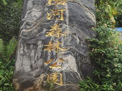 -普洱太阳河森林公园