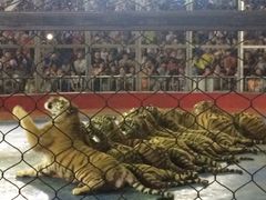 -西安秦岭野生动物园