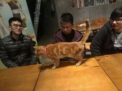 -密讯馆密室逃脱&换装侦探剧(环球港旗舰店)