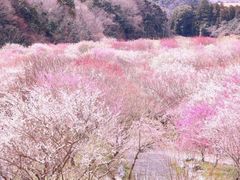 -大七孔景区-天生桥