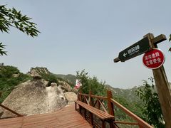 -大岭沟猕猴桃谷风景区