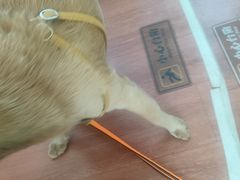 -雅达·阳羡溪山小镇中心