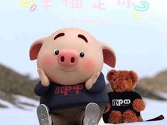 -洪氏嗨捞·广东猪肚鸡·椰子鸡火锅(西咸万象城店)
