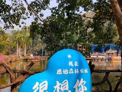 -西双版纳原始森林公园