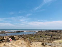 -老太太海鲜城(森林公园任家台店)