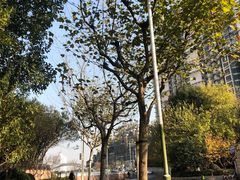 -苏州河梦清园环保主题公园