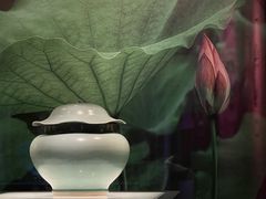 -四川宋瓷博物馆