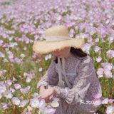 魔都罕见月见草花海：绝美+人少+免费，快冲啊！