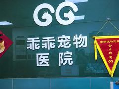 -乖乖宠物医院·猫科·急重症中心(车站北路分院)