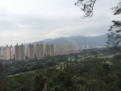 -罗三妹山