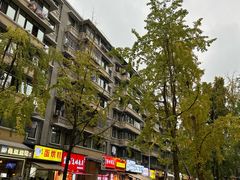 -易老大蛋烘糕(奎星楼总店)