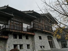-大唐贡茶院