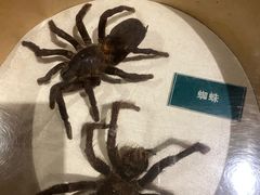 -陕西自然博物馆