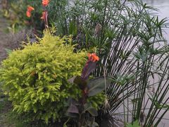 -枫香湖儿童公园