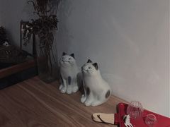 -猫里有甜