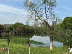 -艾溪湖湿地公园