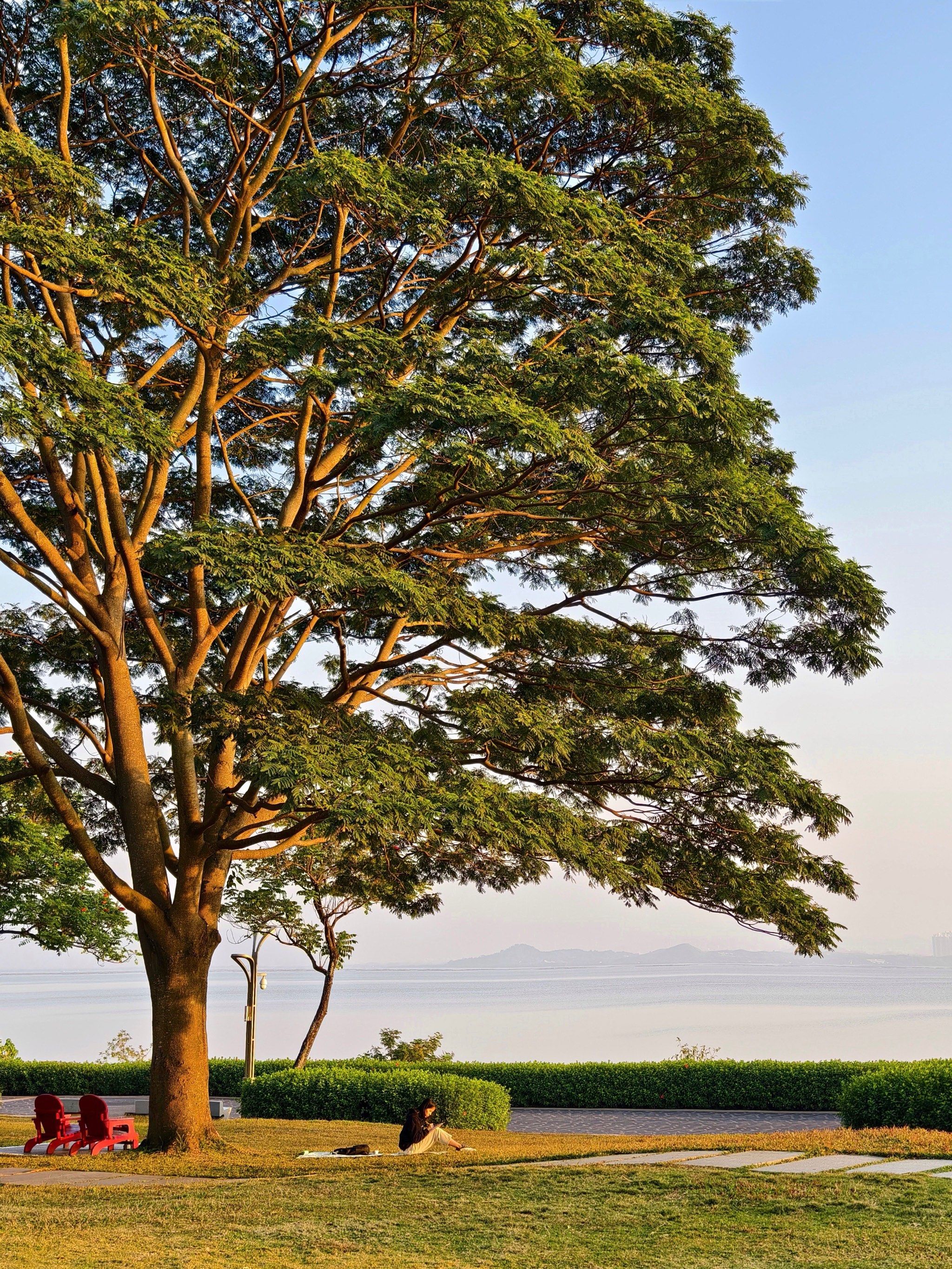 深圳冬天的日落不输夏天🌇🔆