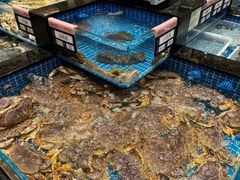 -海月轩海鲜豆捞(紫金塔店)