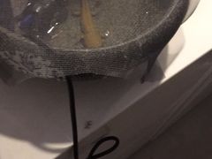 -平行世界·猫咖(首经贸店)