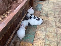 -乐和乐都主题乐园
