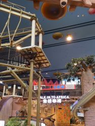 -卡通尼·Safari非洲探索乐园·生日会(金桥国际商业广场店)