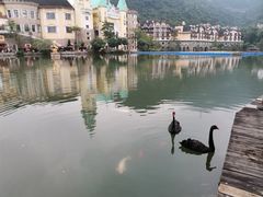 -东部华侨城