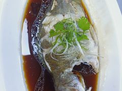 -丰收日(五角场店)