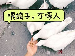 -南宫五洲植物乐园