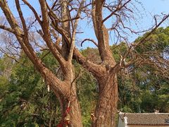 -三国赤壁古战场