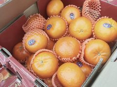 -山姆会员商店(杨桥西路店)