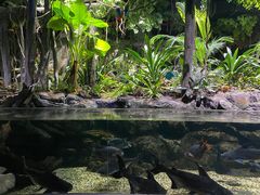 -江和美海洋公园