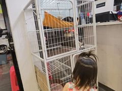 -乐果甜心·潮汕冰室(南澳后宅分店)
