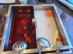 鸳鸯锅-皇城老妈·大连海鲜火锅(港湾店)
