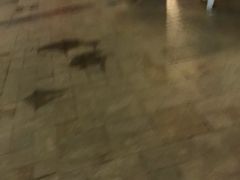 -亚龙湾亚泰商业街