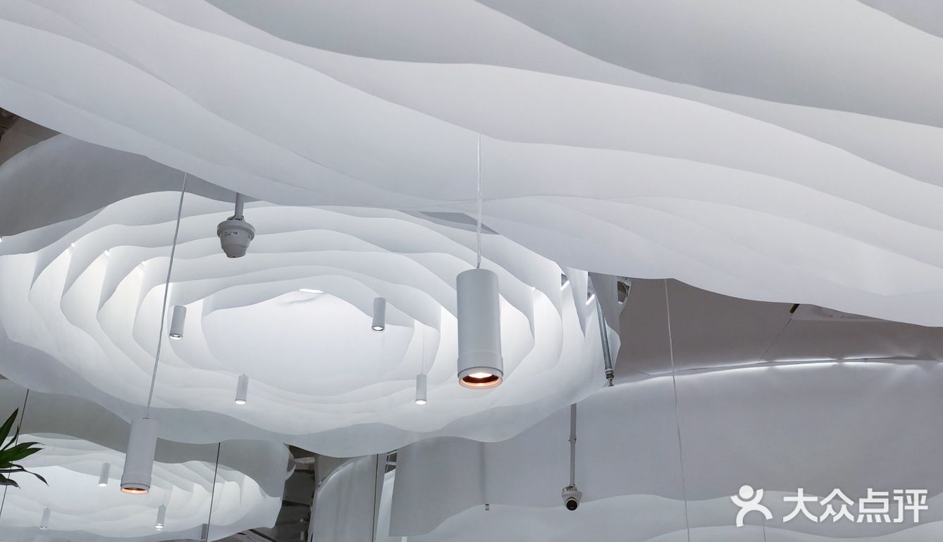 大树 | 为了它的美貌来吃它🌳好拍网红店