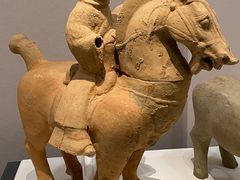 -重庆自然博物馆(新馆)
