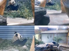-常州淹城野生动物世界