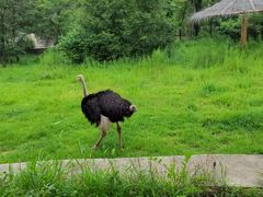 -沈阳森林动物园