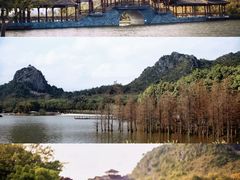 -南宁花花大世界景区